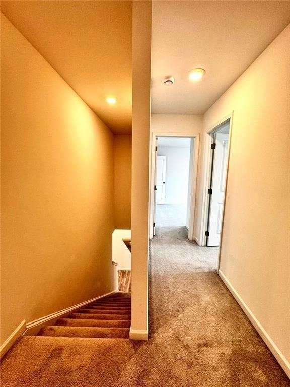 2259 Richmond Row Drive - Photo 10