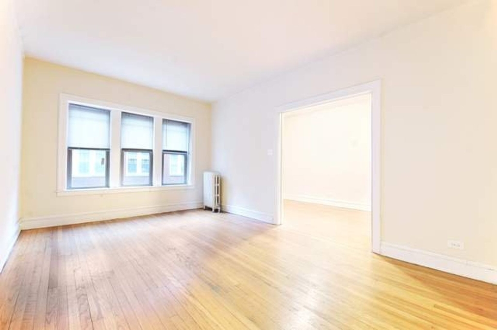 1335 W Touhy Avenue - Photo 1