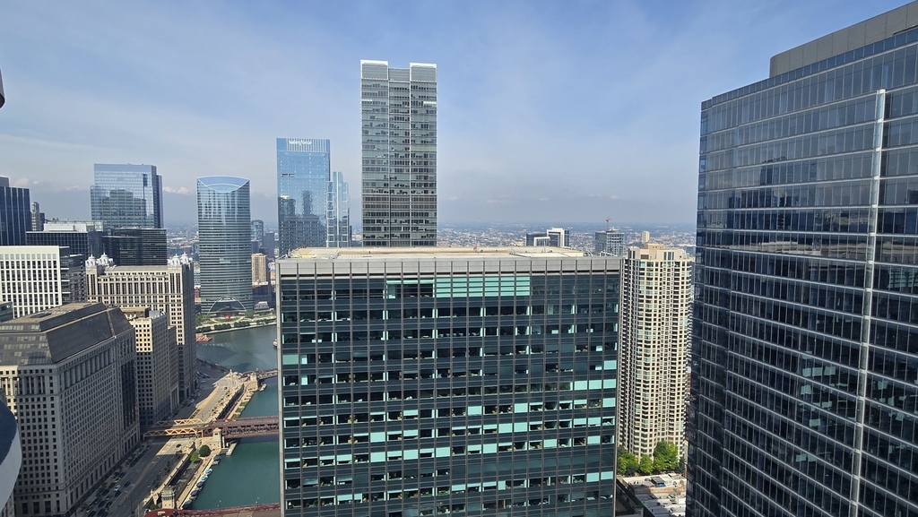 300 N State Street - Photo 10