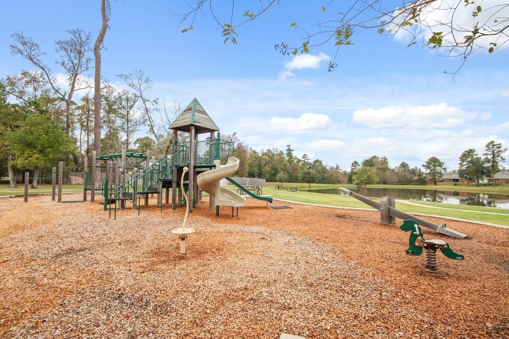 227 Brazen Forest Trail - Photo 21