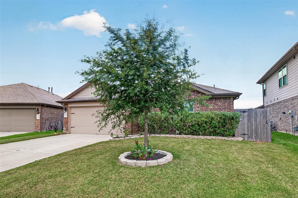 811 Petunia Falls Lane - Photo 3
