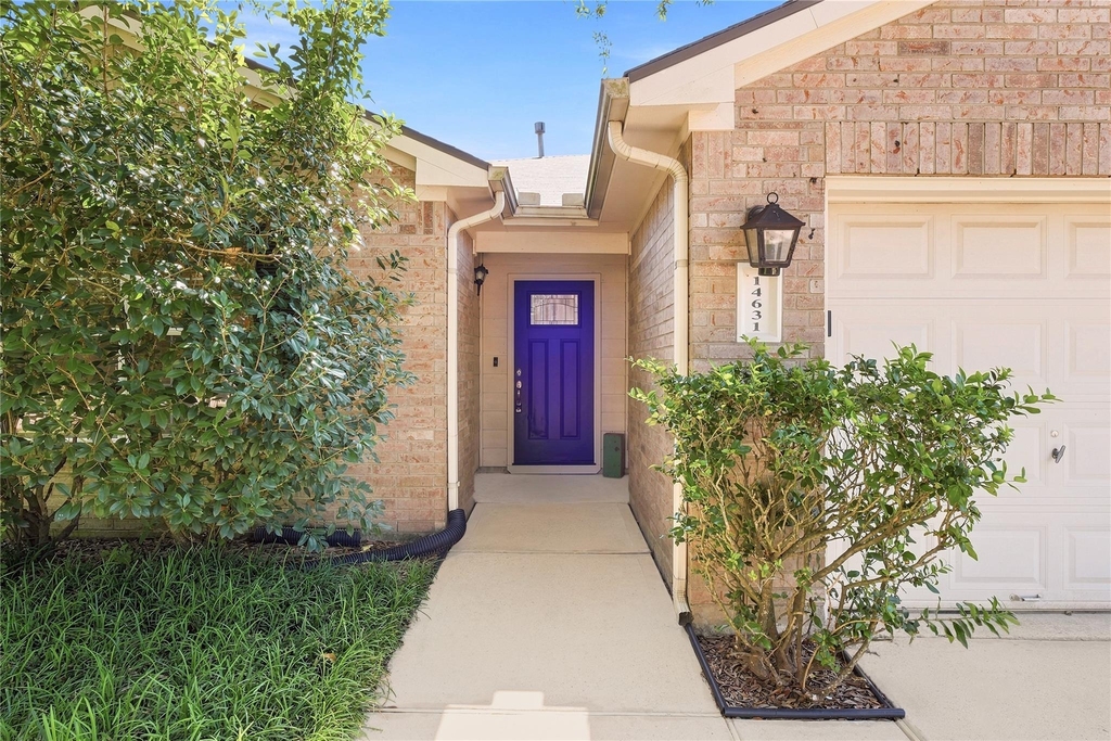 14631 Hazy Ridge Lane - Photo 6