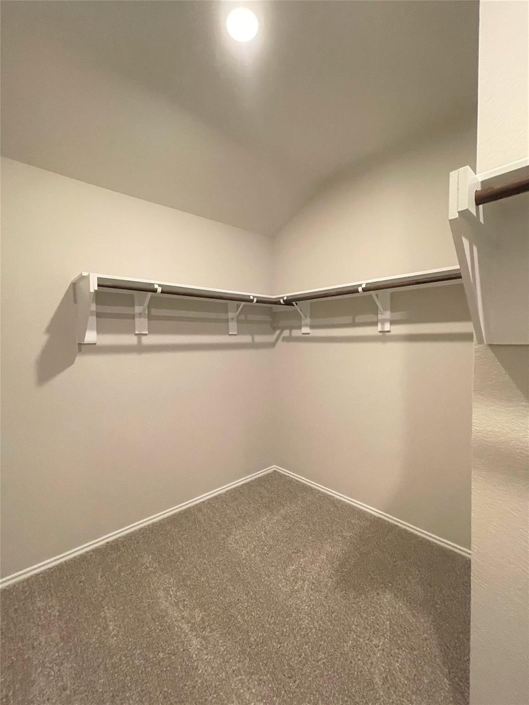 12015 Black Sage Drive - Photo 11