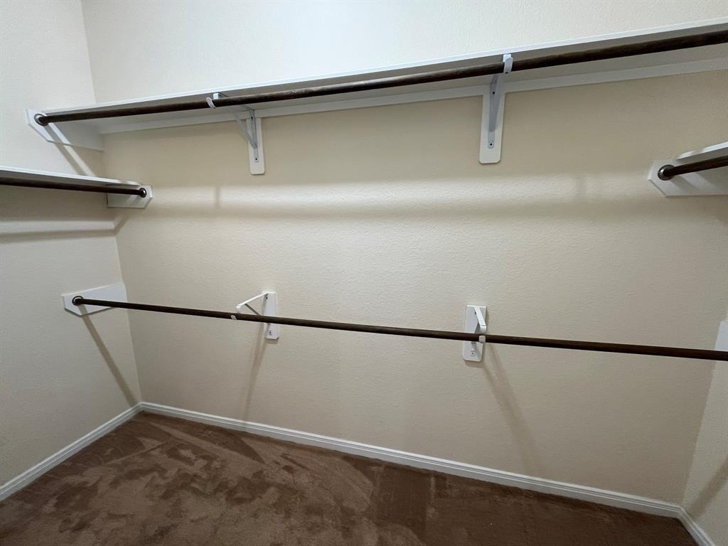 29310 Fair Sky Trail - Photo 19