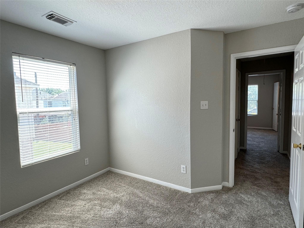 19543 Clevera Walk Lane - Photo 41