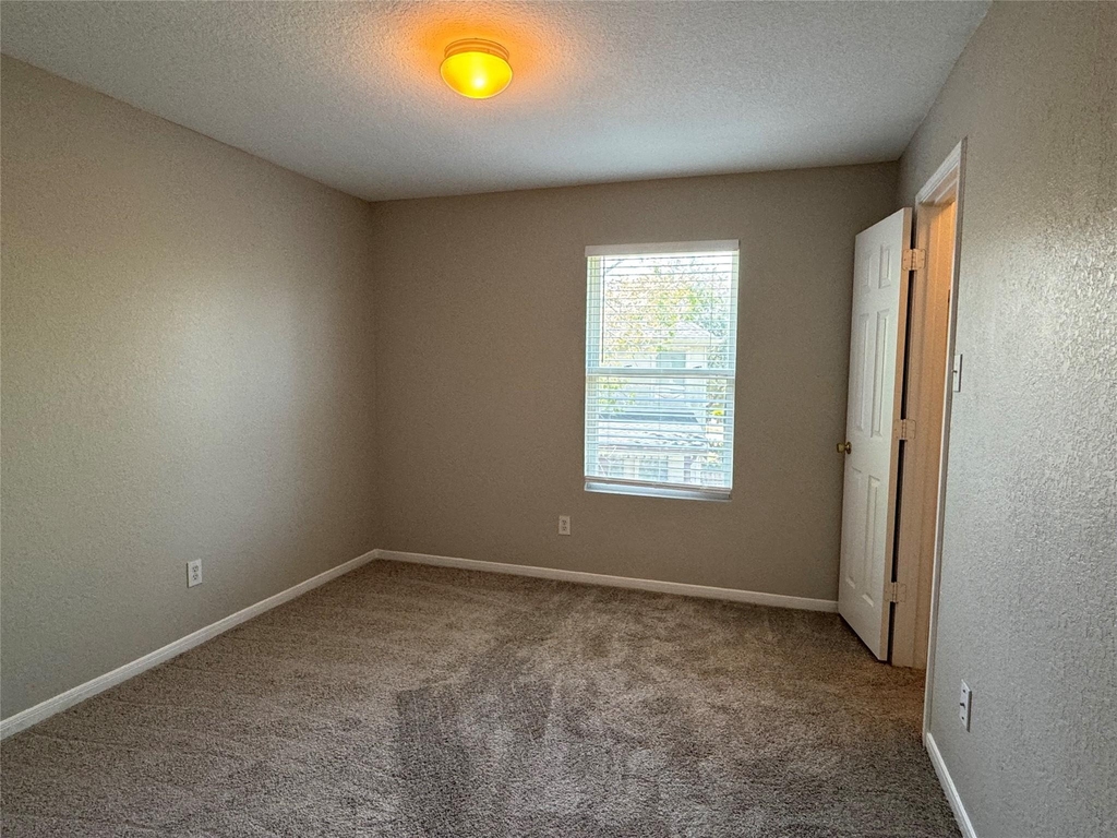 19543 Clevera Walk Lane - Photo 46