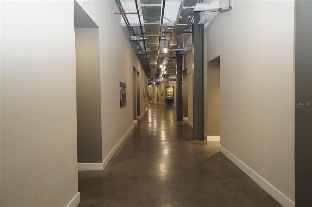 1501 W Horatio Street - Photo 2