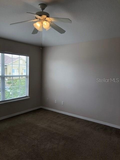 10923 Derringer Drive - Photo 4