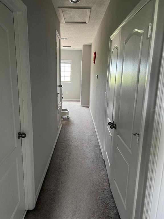 393 Evertree Loop - Photo 20