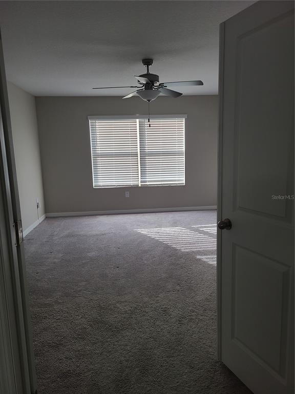 14331 Easy Goer Street - Photo 17
