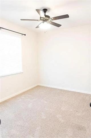 321 Tinker Trail - Photo 16