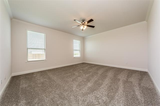 3018 Comal Court - Photo 18