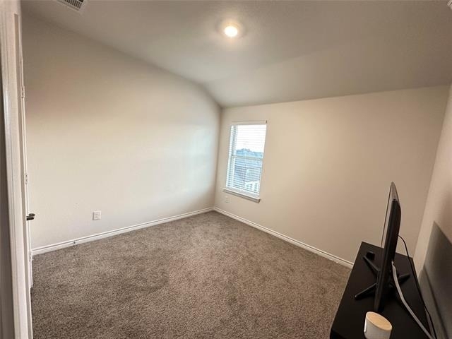 809 Lone Rock Drive - Photo 9