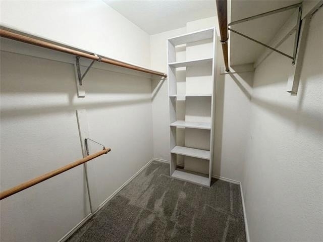1404 Daffodil Lane - Photo 14