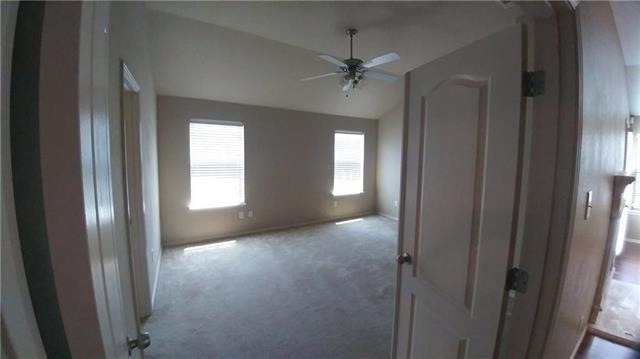 8512 Minturn Drive - Photo 11