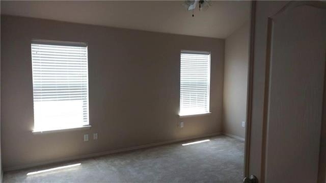 8512 Minturn Drive - Photo 12