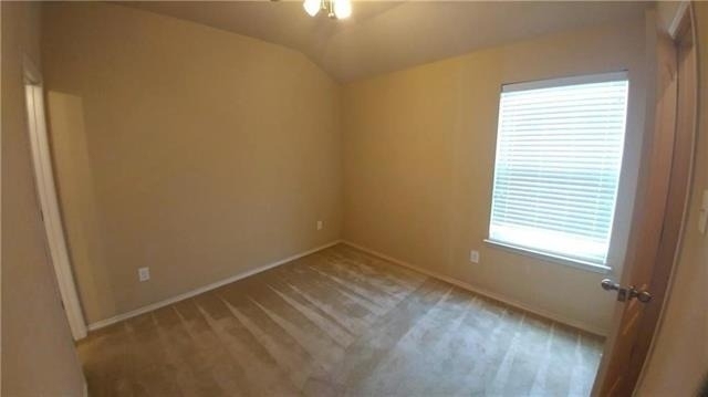 8512 Minturn Drive - Photo 13