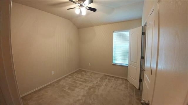 8512 Minturn Drive - Photo 24