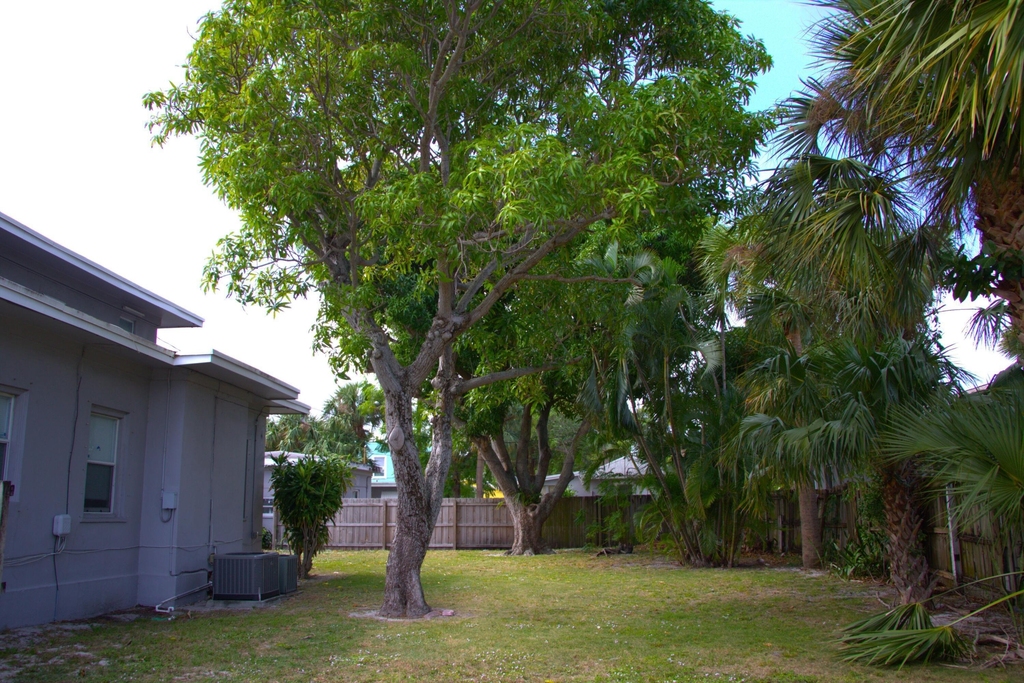 5701 N Flagler Drive - Photo 22