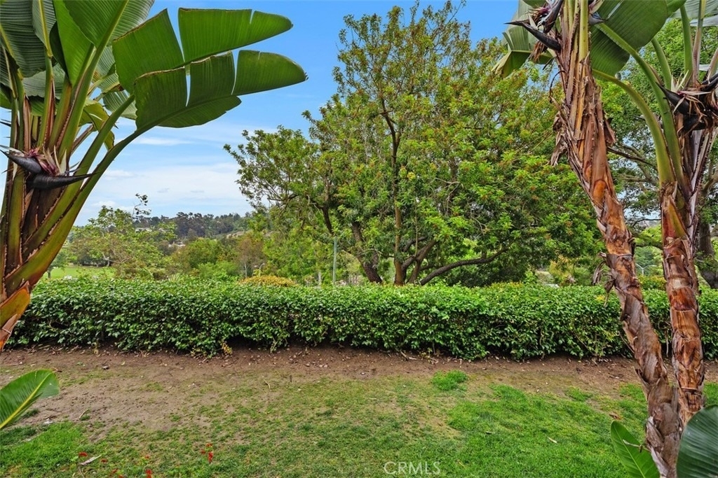 30902 Clubhouse Drive - Photo 30