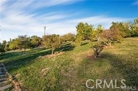 2440 Los Alisos - Photo 15