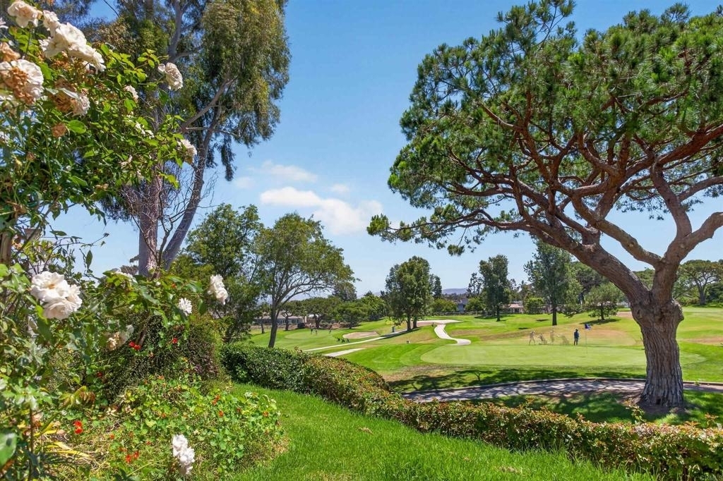 1377 Camino Teresa - Photo 24
