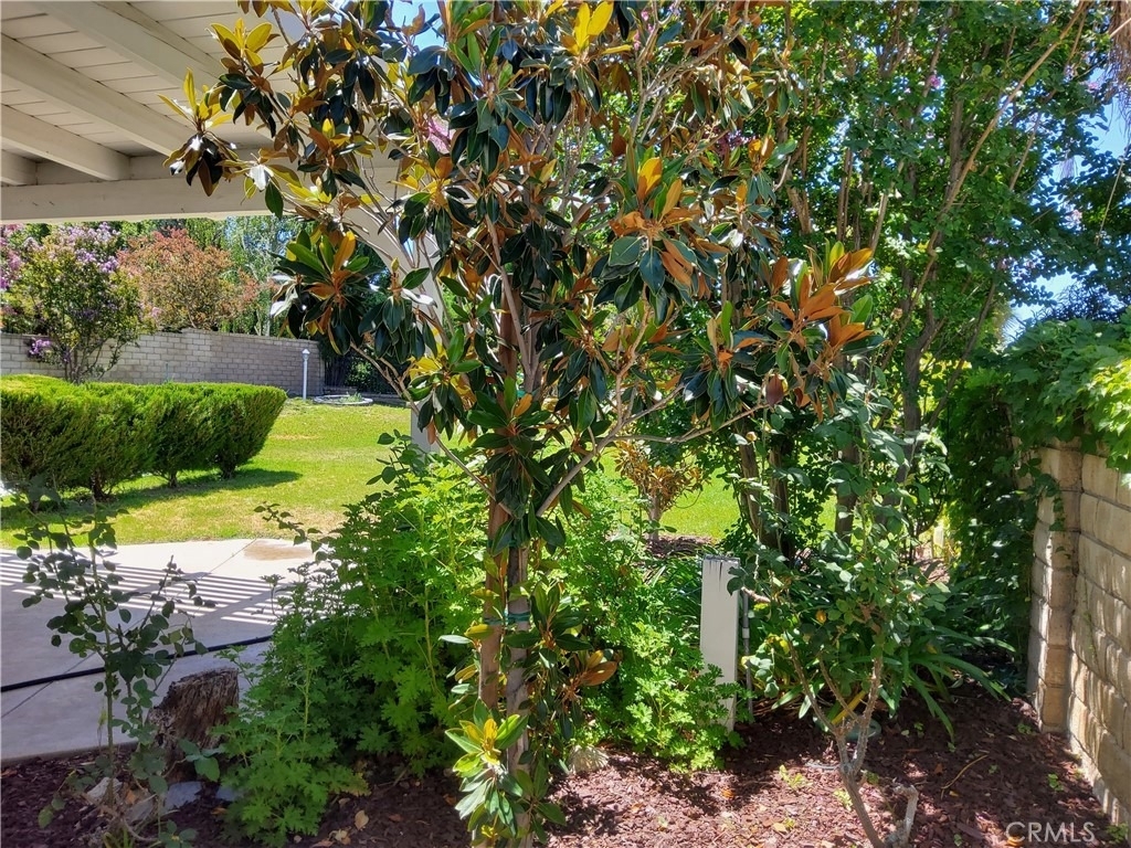 25540 Pembrook - Photo 28