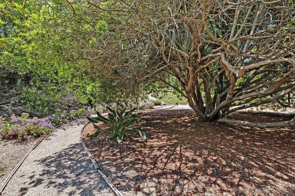 17240 Avenida De Acacias - Photo 44