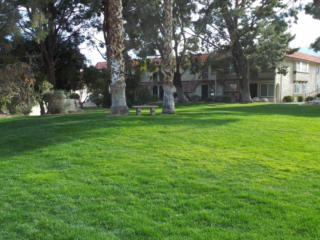 9651 Spyglass Avenue - Photo 11