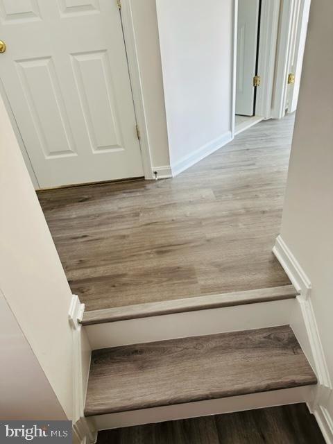 12964 Mandolin Lane - Photo 20