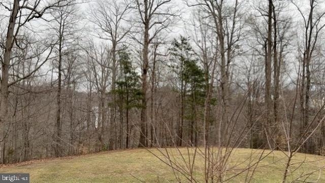 11593 Nellings Place - Photo 19