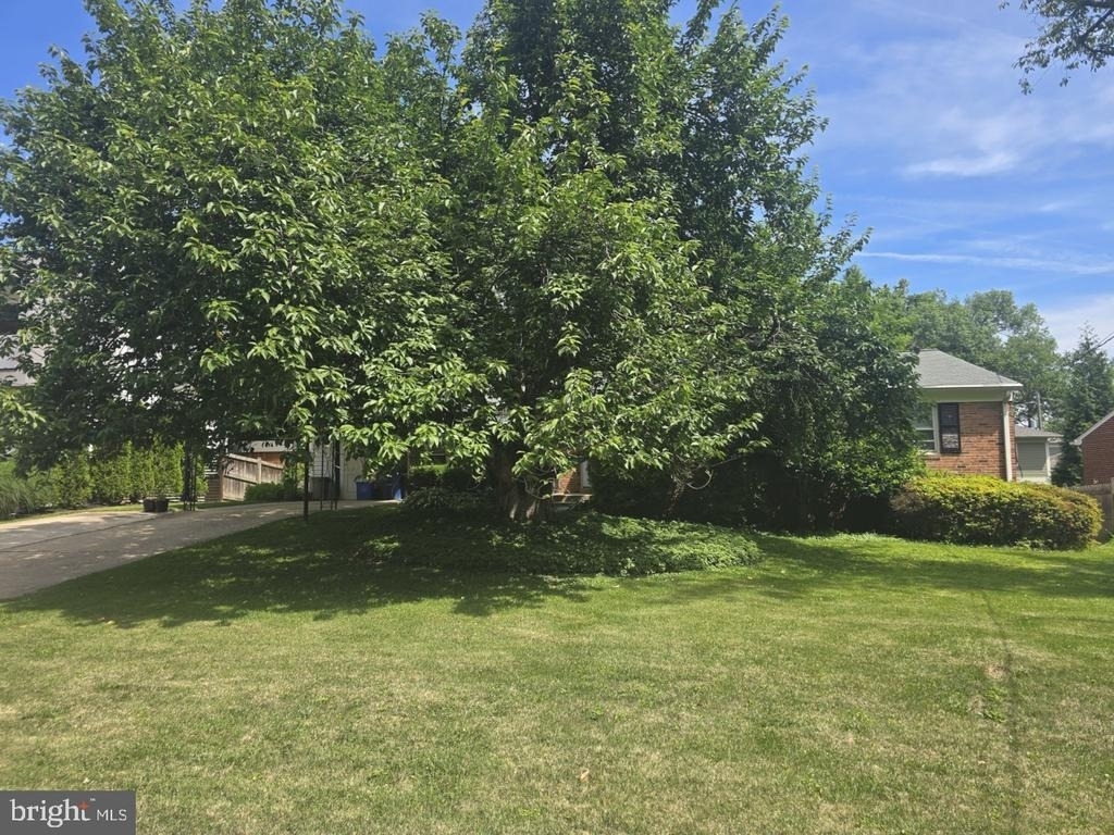 6403 Orchid Drive - Photo 13