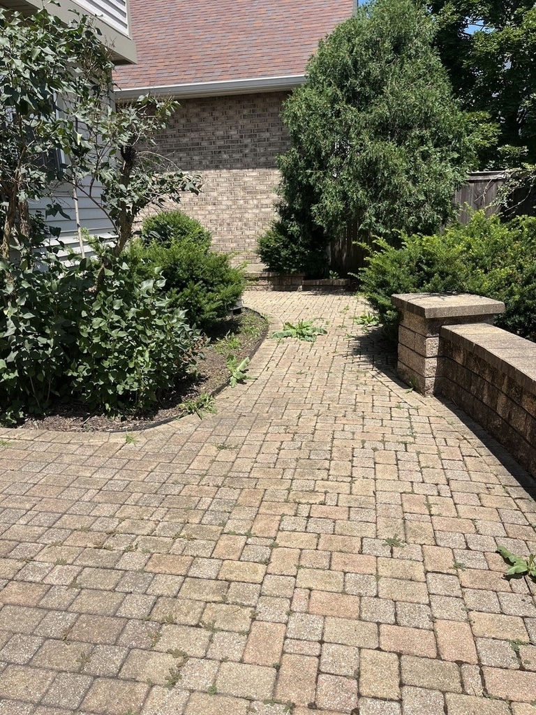 1617 Astor Avenue - Photo 24