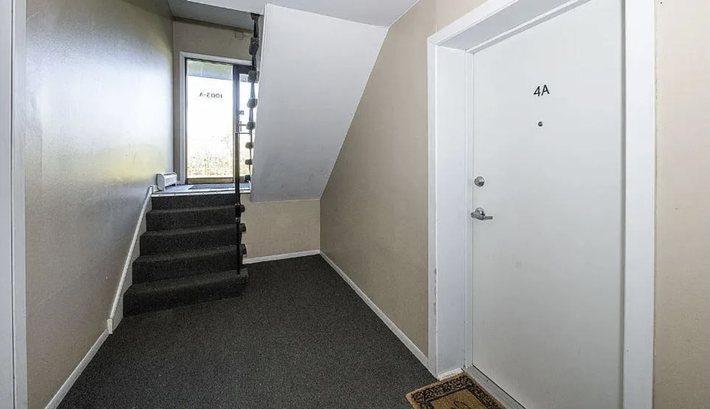 1003 Argyle Street - Photo 3