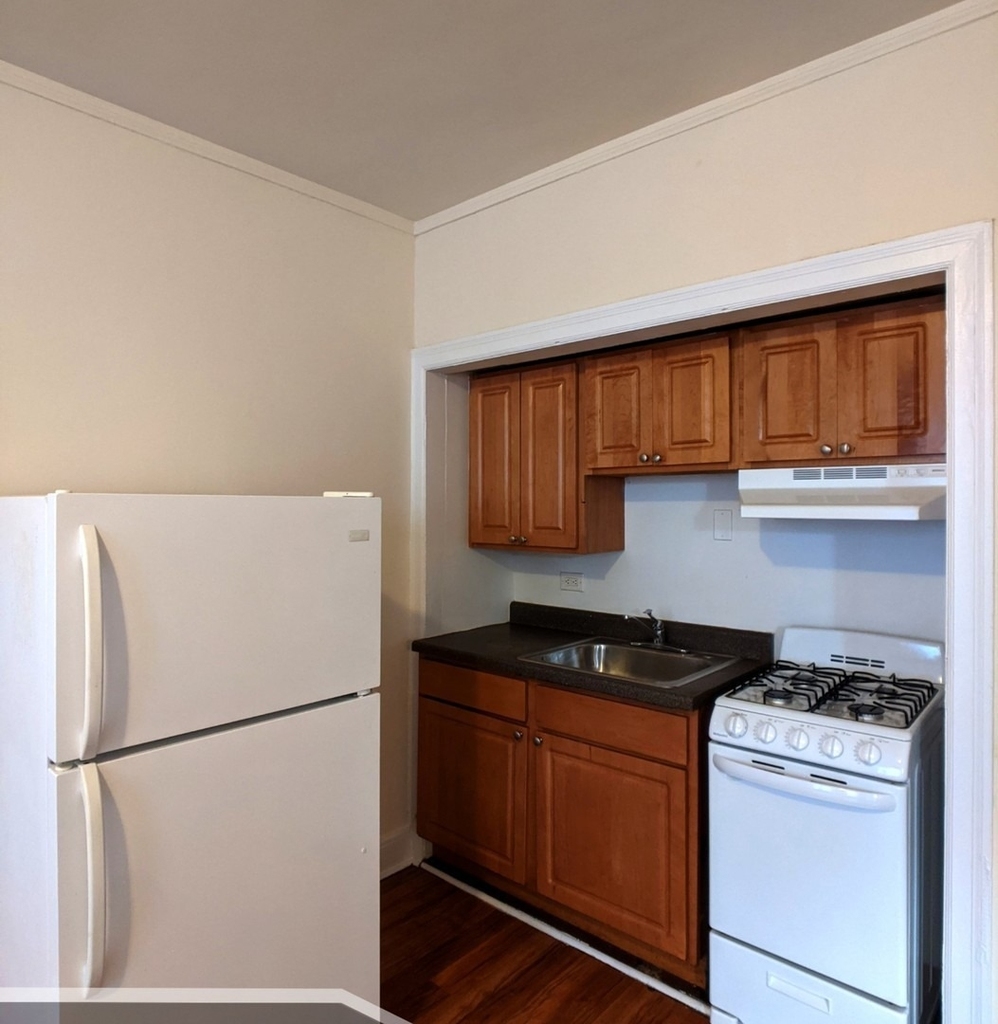 3335 W Diversey Avenue - Photo 3