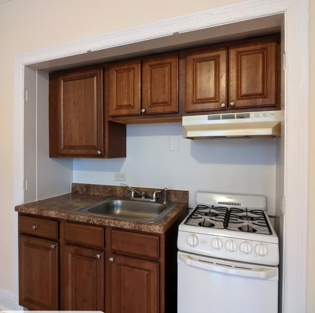 3335 W Diversey Avenue - Photo 4