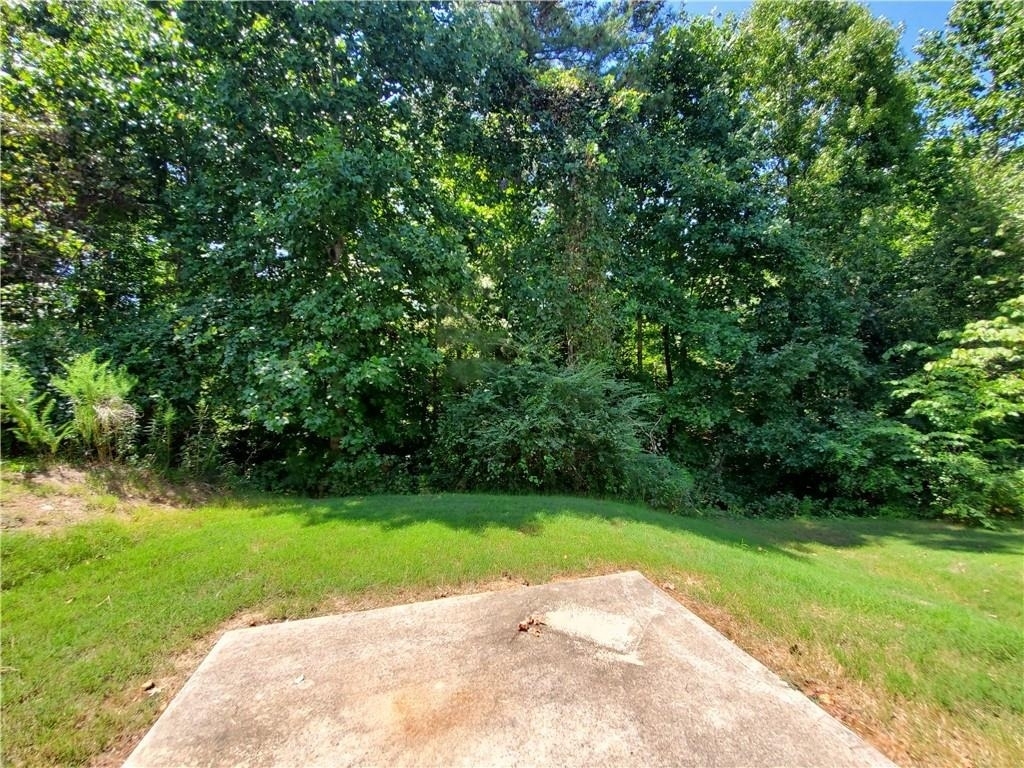 165 Canvas Ives Drive - Photo 28