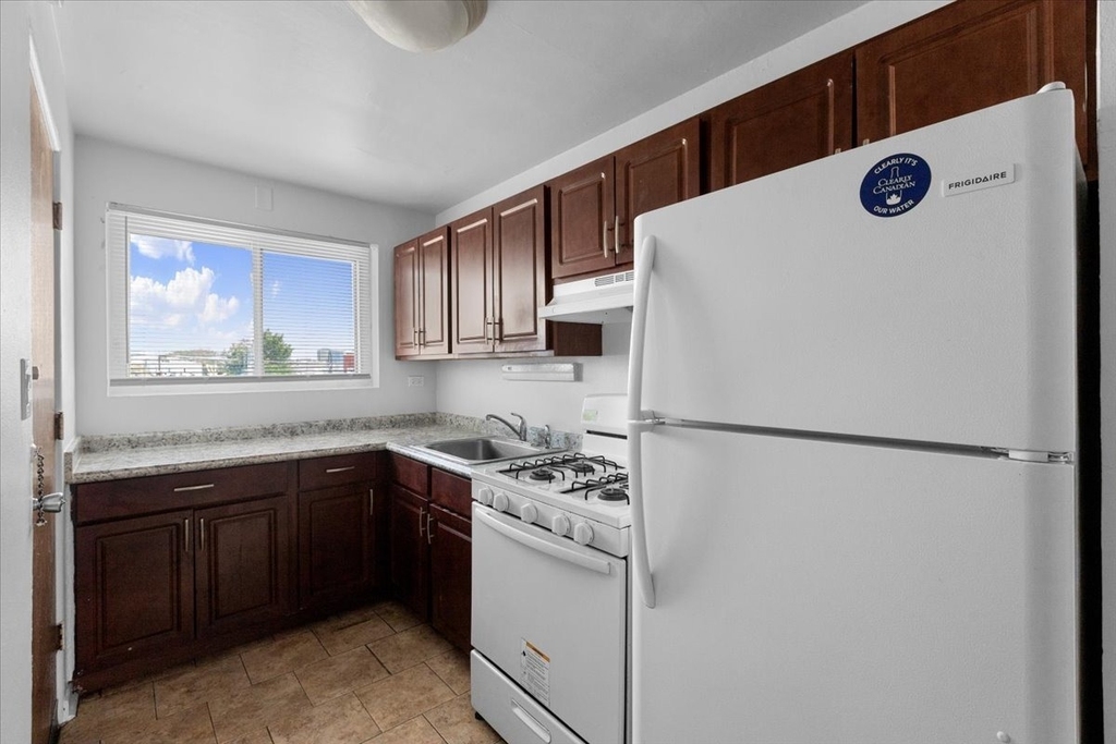6715 N Hermitage Avenue - Photo 1