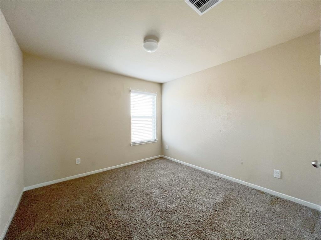 29043 Jacobs River Drive - Photo 19