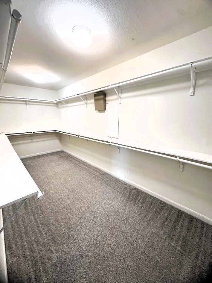 26350 Riley Glen Drive - Photo 22