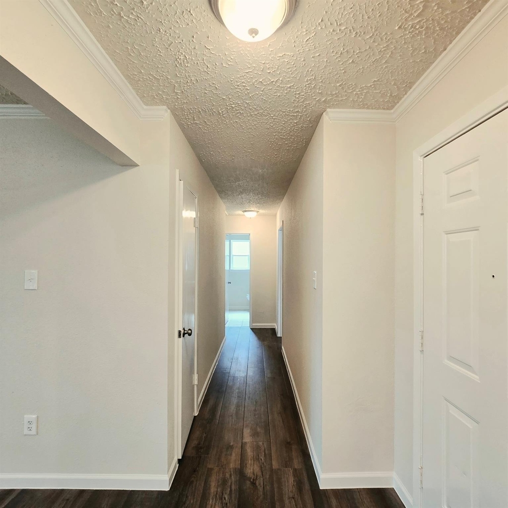 14211 Sylvia Drive - Photo 13