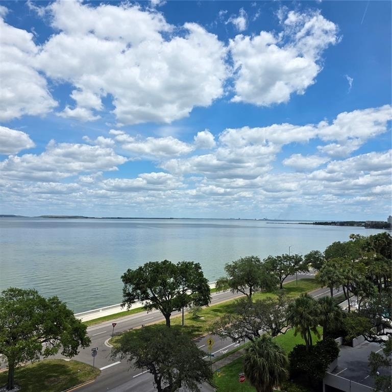4015 Bayshore Boulevard - Photo 1