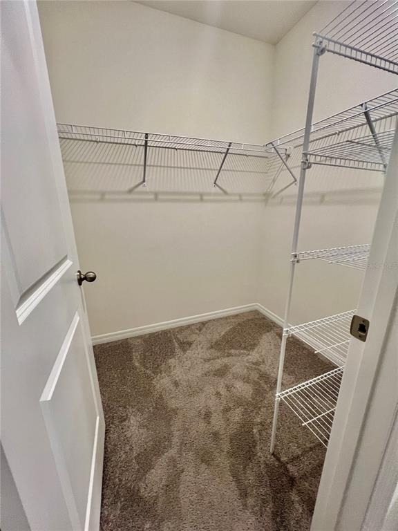 32557 Turtle Grace Loop - Photo 12