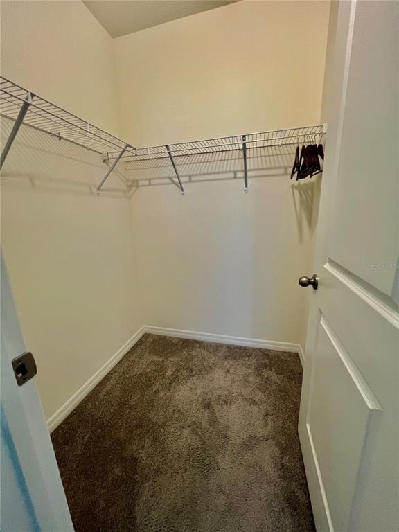 32557 Turtle Grace Loop - Photo 22