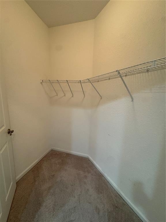 3331 Whitestone Circle - Photo 7
