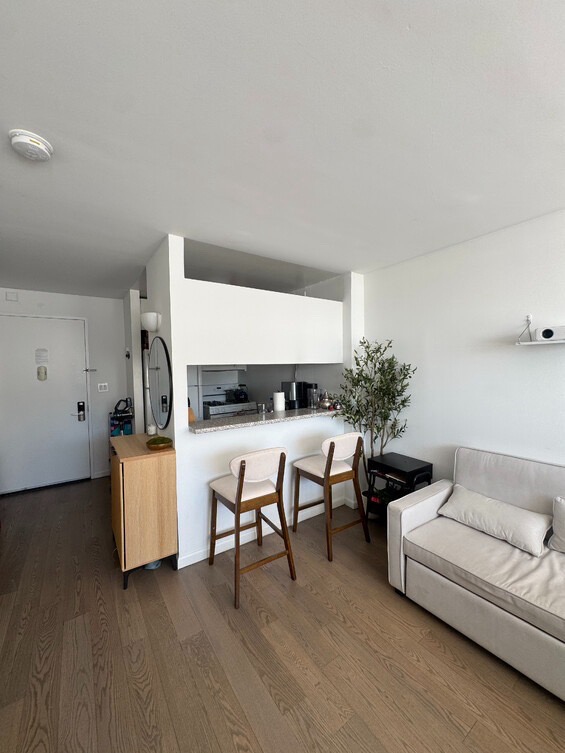 650 West 42nd Street - Photo 10
