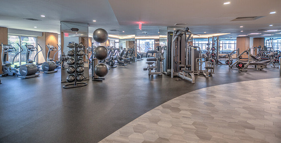 650 West 42nd Street - Photo 5