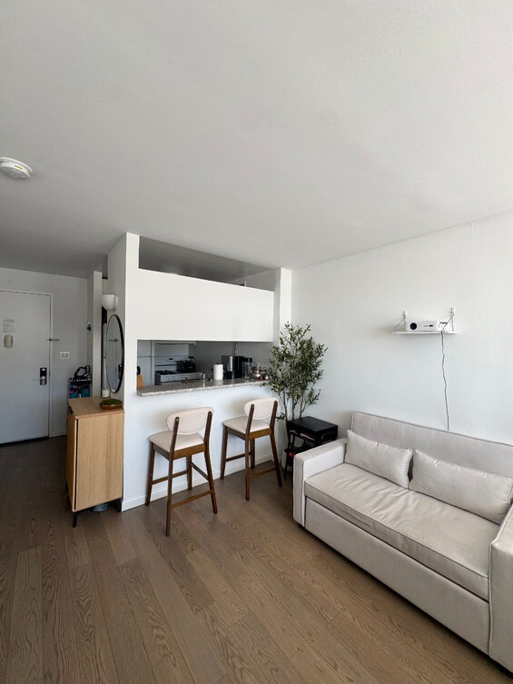 650 West 42nd Street - Photo 1