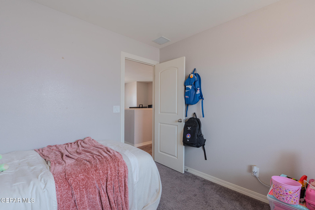 305 Del Palmar - Photo 42