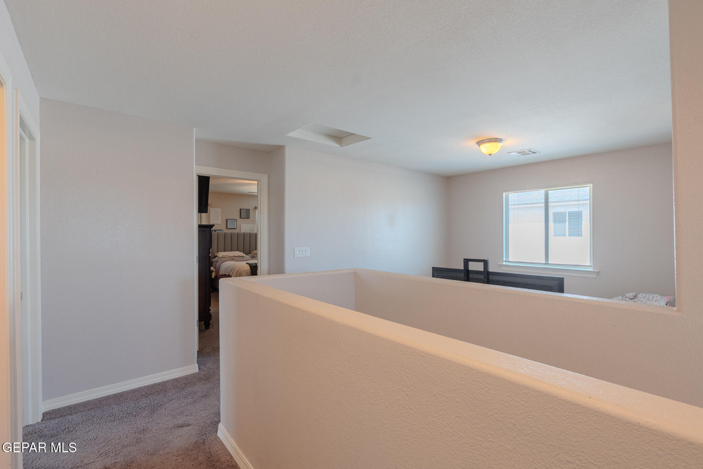 305 Del Palmar - Photo 38